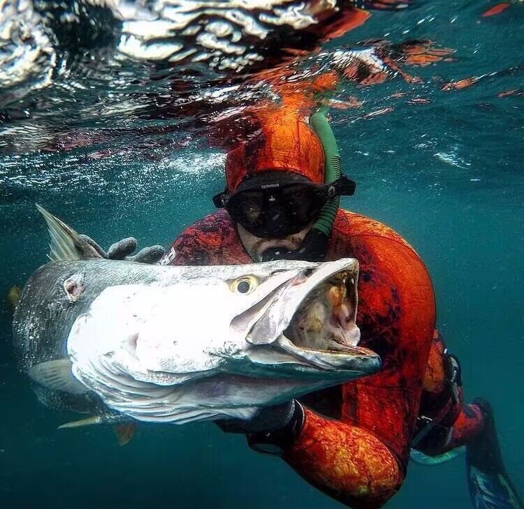 Spearfishing&Kitesurfing