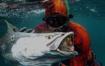 Spearfishing&Kitesurfing